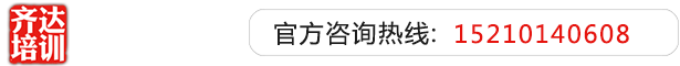 爱日逼.com齐达艺考文化课-艺术生文化课,艺术类文化课,艺考生文化课logo